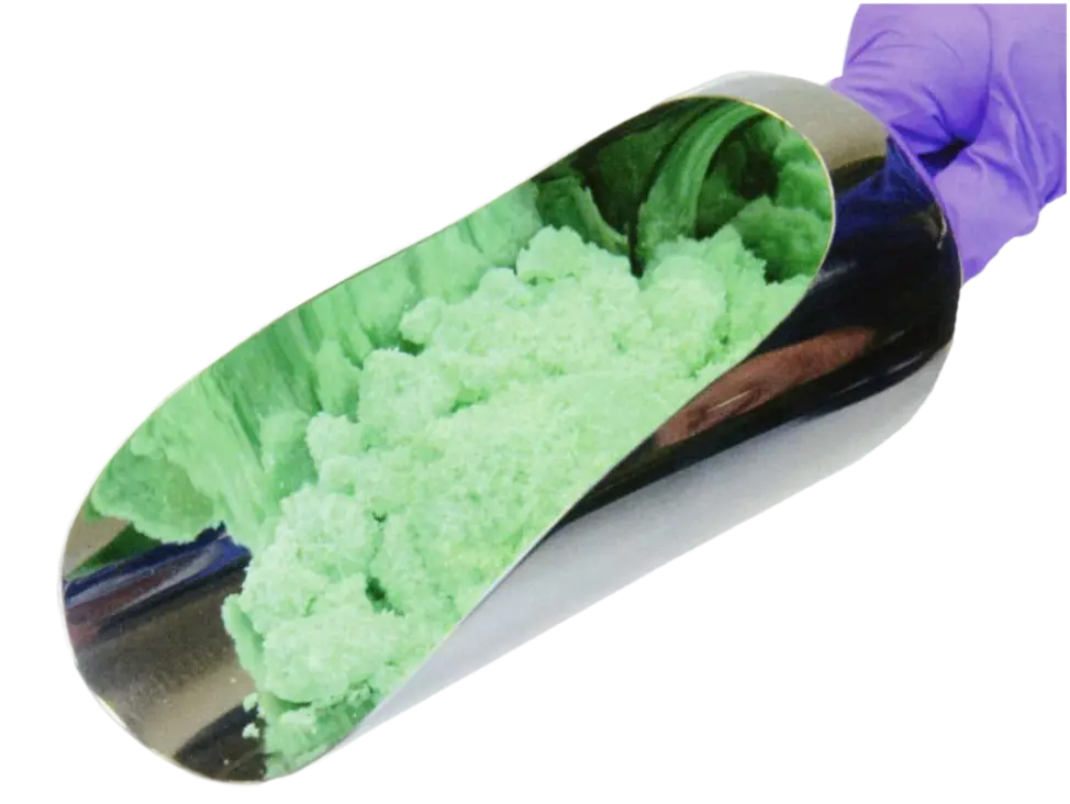 Sessola pharma inox 316